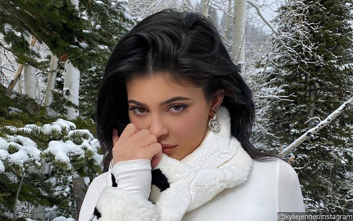 Kylie Jenner Reveals Her Jaw-Dropping Christmas Tree 