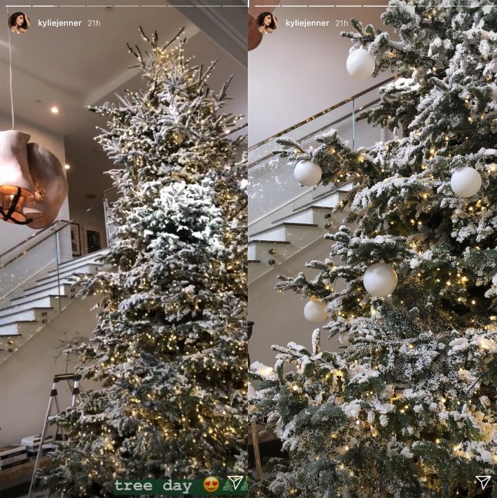 Kylie Jenner Reveals Her JawDropping Christmas Tree