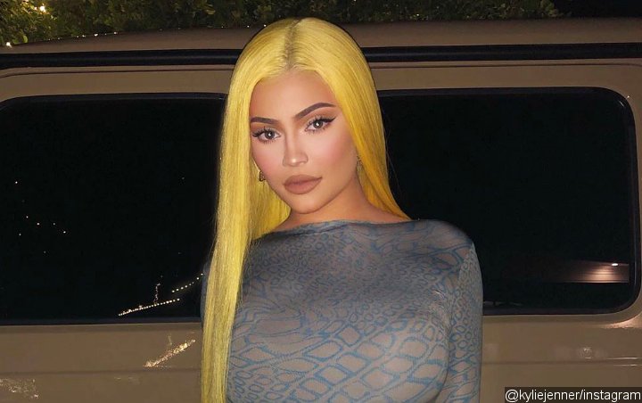 Is Kylie Jenner Dating the Mystery Man on New Year's Eve Party?