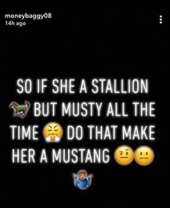 MoneyBagg disses Megan Thee Stallion