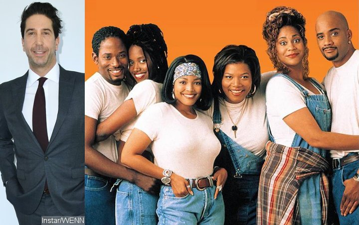 David Schwimmer Roasted Over Comments of 'All-Black' Version of 'Friends': Heard of 'Living Single'?