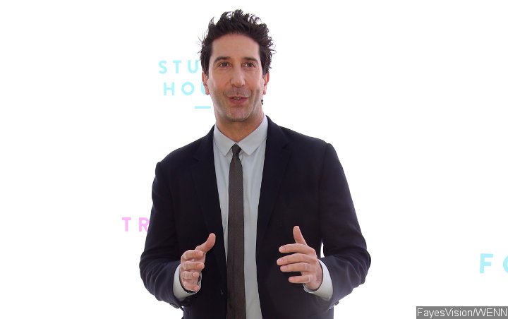 David Schwimmer Clarifies Black 'Friends' Comments: 'I Meant No Disrespect' to 'Living Single'