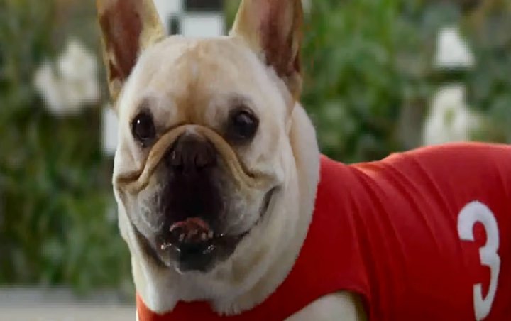 Skechers' Dog Racing Commercial