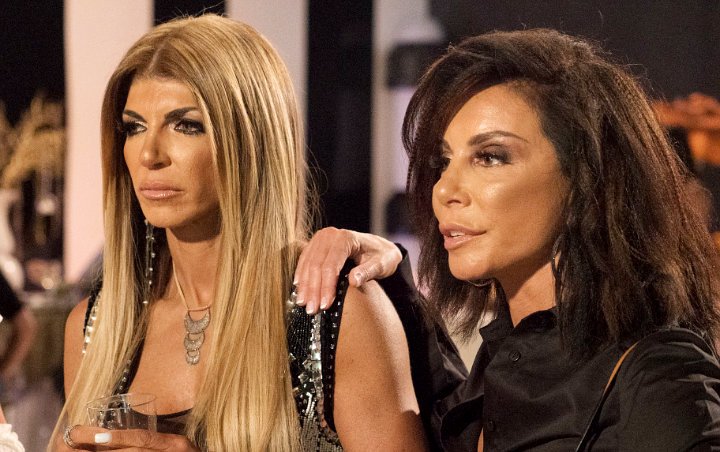 Teresa Giudice and Danielle Staub 'Won't Be Best Friends Again' After 'RHONJ' Reunion Fallout