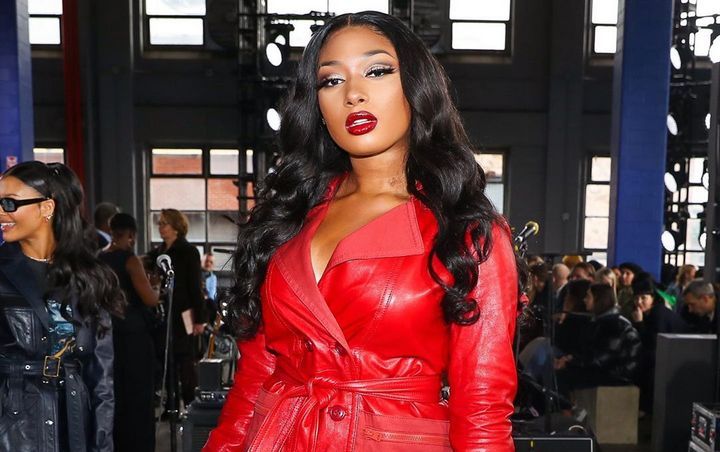 Megan Thee Stallion Beat Boyfriend for Cheating on Her and Got Arrested