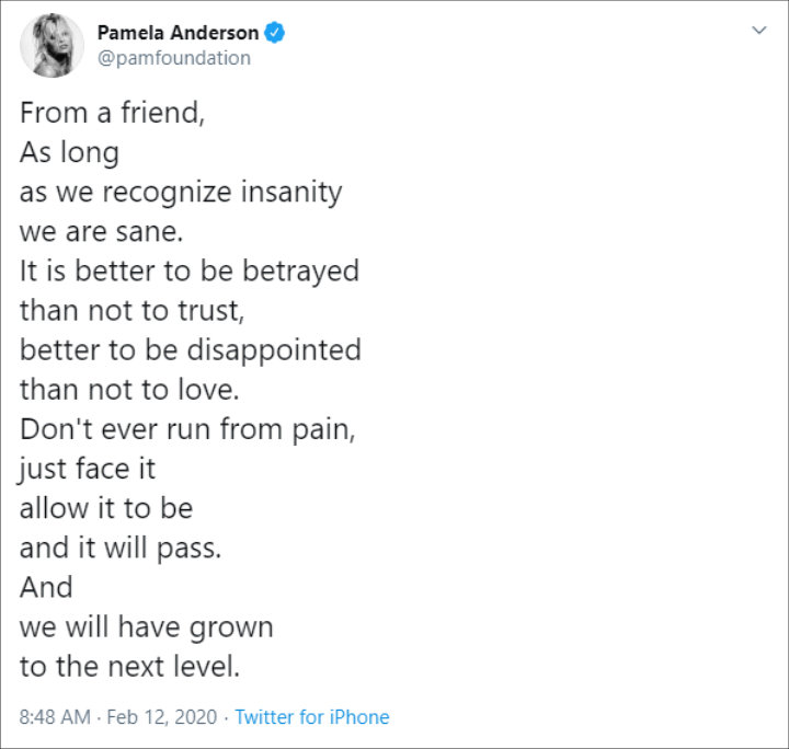 Pamela Anderson Appears to Respond to Jon Peters' Claim With Twitter Post