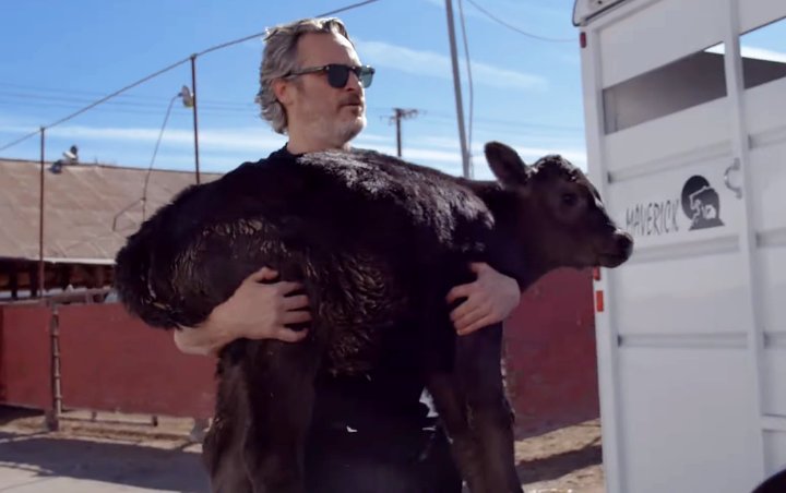 Watch Joaquin Phoenix Spar With Slaughterhouse CEO to Rescue a Cow and Her Calf