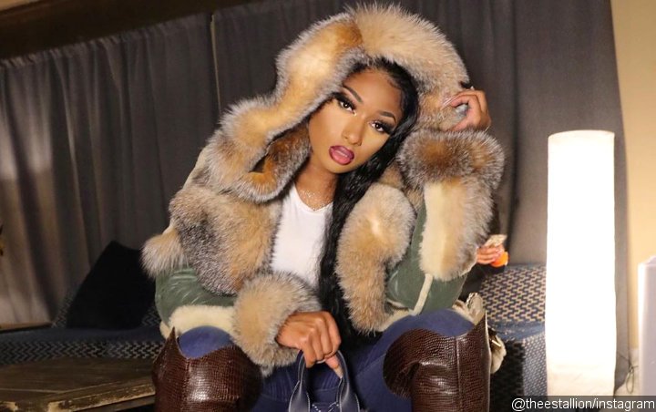 Megan Thee Stallion Prevents Record Label From Blocking Her New Music