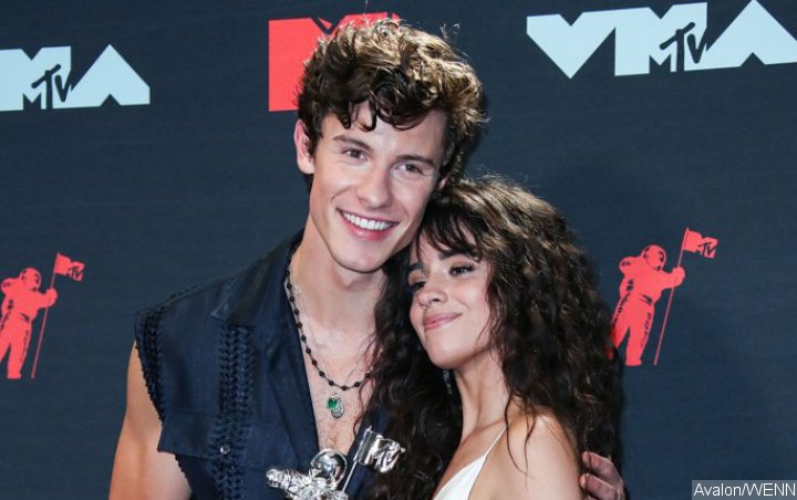 Shawn Mendes Surprises Camila Cabello With Cinderella Themed Birthday Party