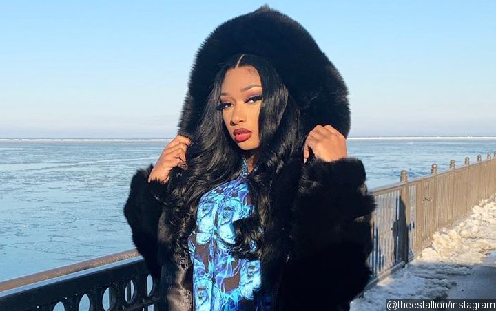 Megan Thee Stallion's Planned Album Release to Be Blocked by Record Label