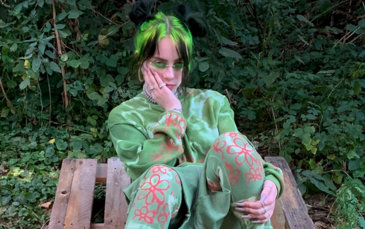 Billie Eilish Strips Off During Tour to Hit Back at Body-Shamers