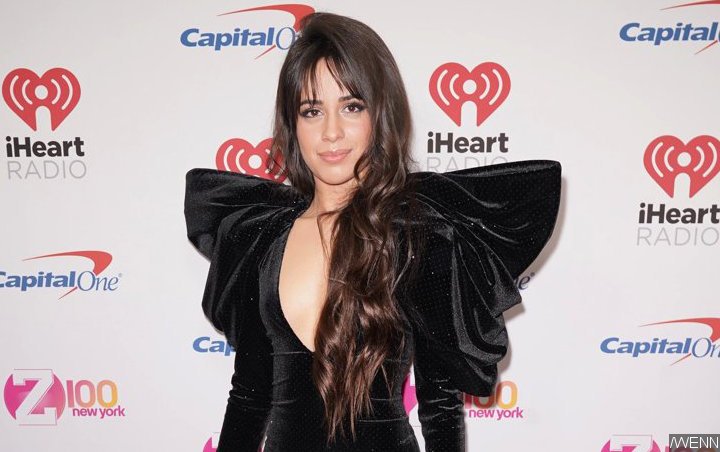 Camila Cabello Saddened by Decision to Postpone 'The Romance Tour' Amid Coronavirus