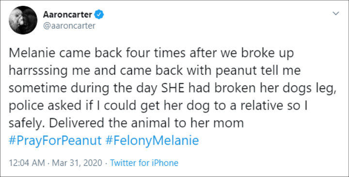 Aaron Carter Addresses Ex-Girlfriend Melanie Martin's Domestic Violence Arrest