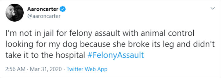 Aaron Carter Addresses Ex-Girlfriend Melanie Martin's Domestic Violence Arrest