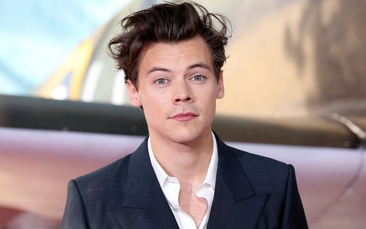 Harry Styles Sells Merchandise to Raise Funds for Covid-19 Relief