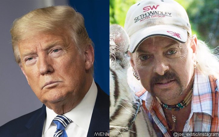 Donald Trump to Consider Pardoning 'Tiger King' Star Joe Exotic