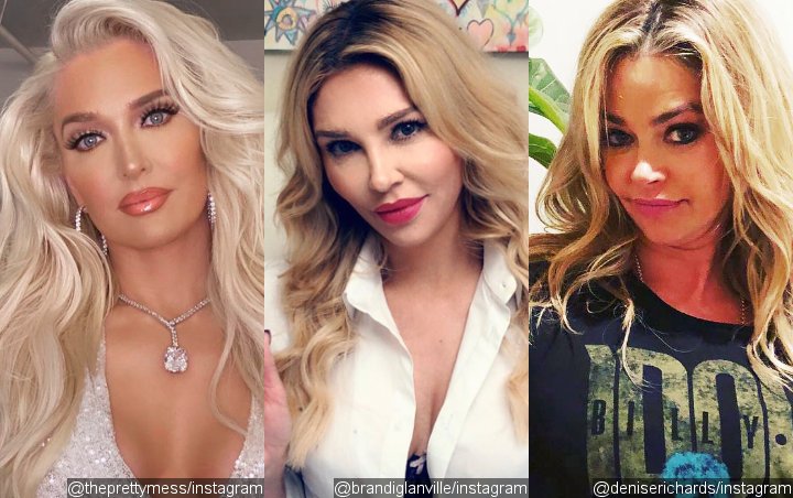 'RHOBH' Star Erika Jayne Defends Brandi Glanville Amid Denise Richards Hookup Rumors