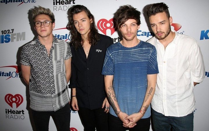 Liam Payne Calls One Direction Breakup 'Stupid Decision' They Made When They're 'Tired'