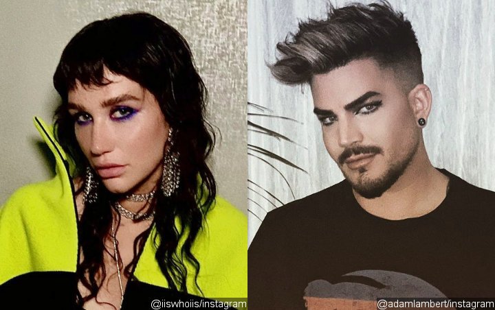 Kesha and Adam Lambert to Be Part of GLAAD Fundraising Event for Coronavirus Crisis