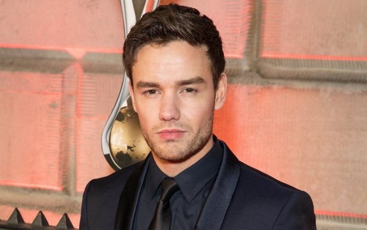 Liam Payne Apologizes After Called 'Biphobic' Over His New Song 'Both Ways'