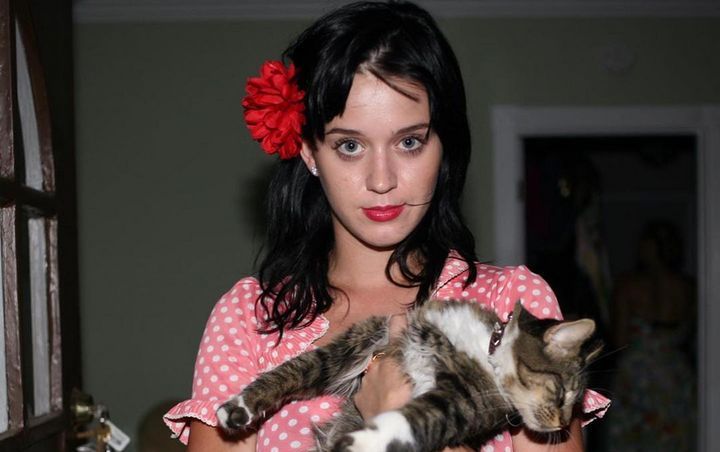 Katy Perry Mourning Beloved Cat's Death
