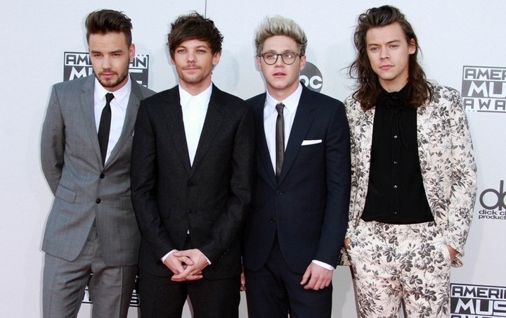 One Direction Members Tell Liam Payne to Shut Up About Their Reunion
