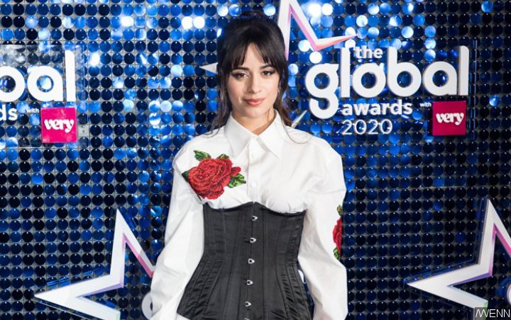Camila Cabello Joins All In Challenge With Offer of Cameo Appearance in Music Video