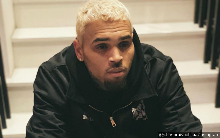 Chris Brown Allegedly Caught Doing Drugs Called Whippets