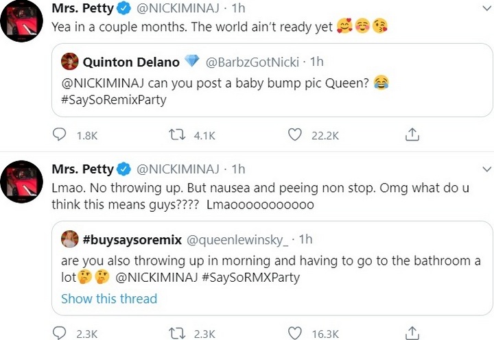 Nicki Minaj appears to confirm pregnancy