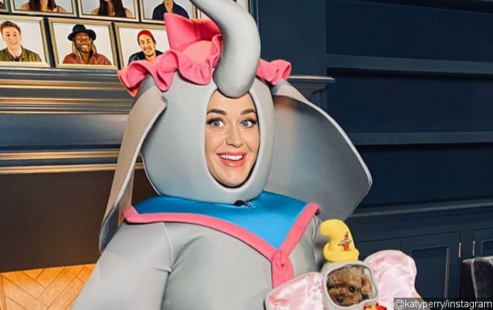 Katy Perry Delivers Gut-Wrenching Cover of 'Baby Mine' in Dumbo Costume for 2nd 'Disney Singalong'