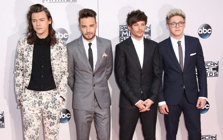 Niall Horan Shuts Down One Direction Reunion Rumors