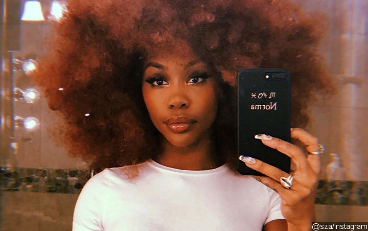 SZA Racially Profiled in a Palisades Shop as She's Accused of Being a 'Rioter'