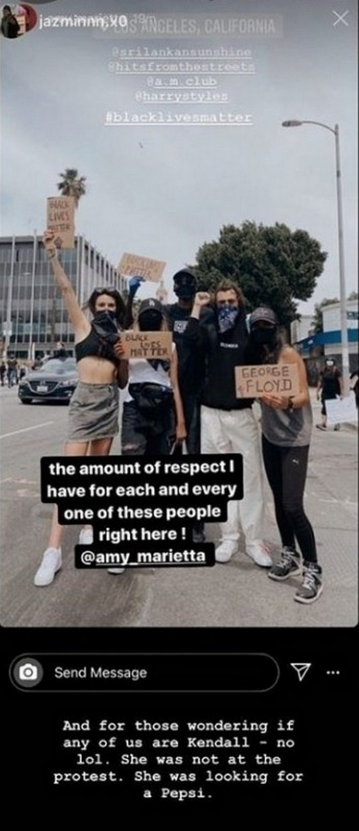 Harry Styles' friend shares picture from LA protest