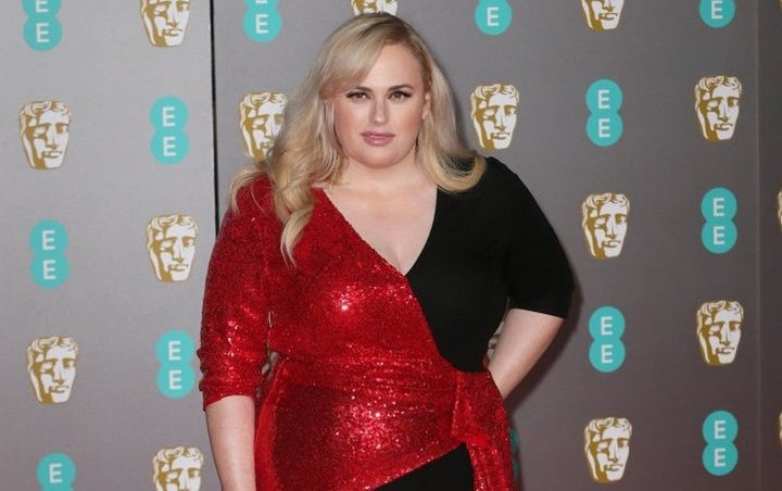 Rebel Wilson Paid Extra to Stay Overweight for Movie Role