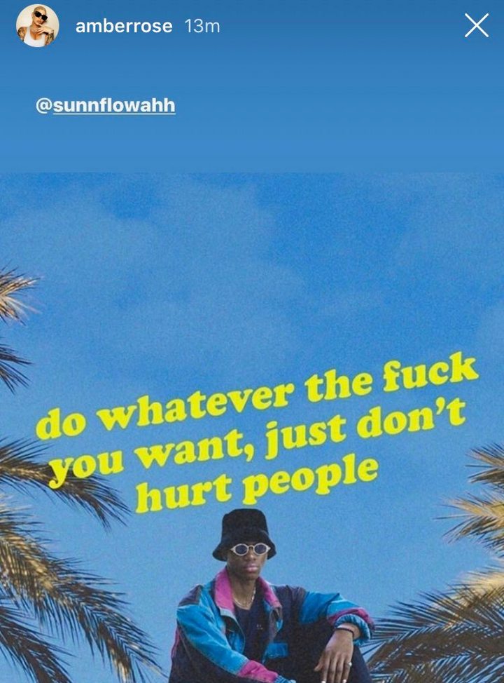 Amber Rose throws subs on Instagram