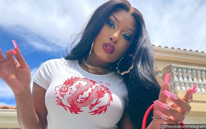 Megan Thee Stallion Gushes Over Secret New Boyfriend: 'He's So Fine'