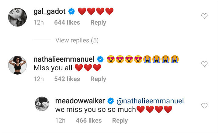 Meadow Walker's IG Post