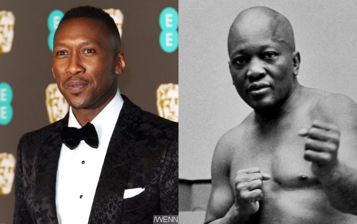 Mahershala Ali Lands Lead Role in HBO Series About Boxing Legend Jack Johnson