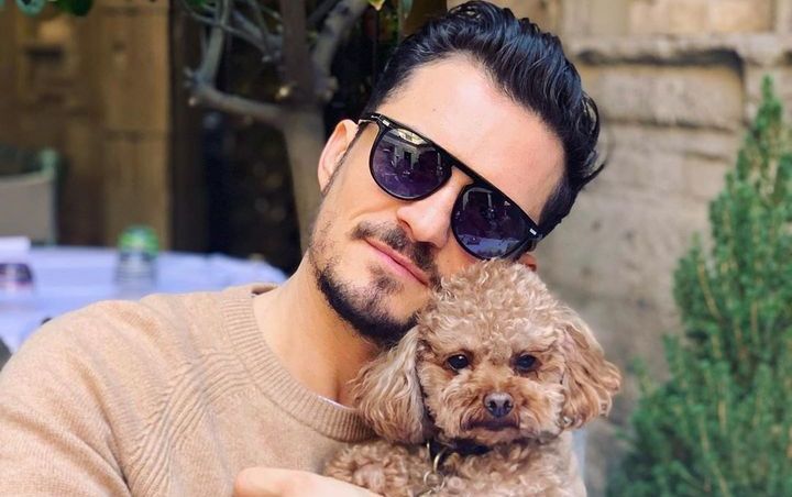 Orlando Bloom Believes Missing Dog Has Died After Finding the Pet's Collar  