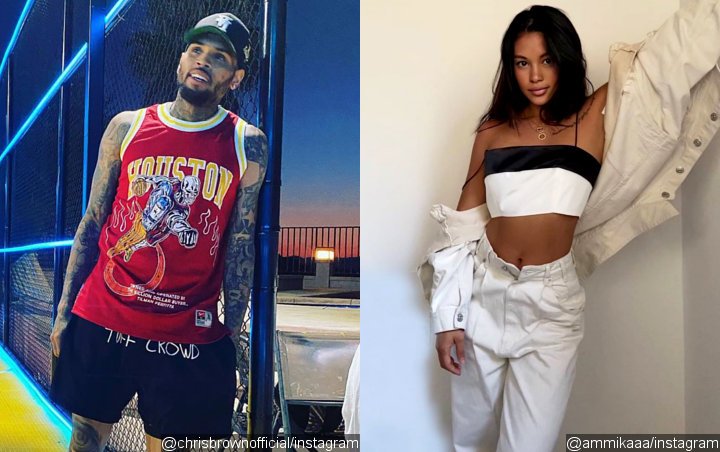 Chris Brown and Ammika Harris Hint at Trouble in Paradise With Instagram Moves