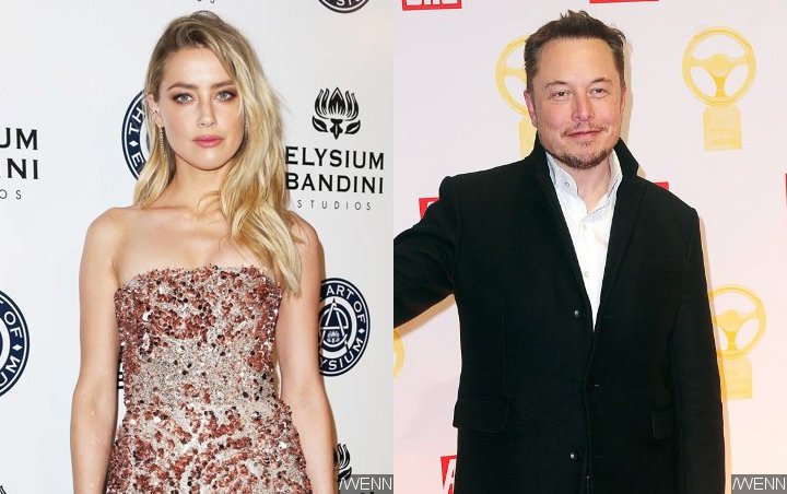 20+ Amber Heard Elon Musk Lawsuit Embryo amber heard elon musk settlement