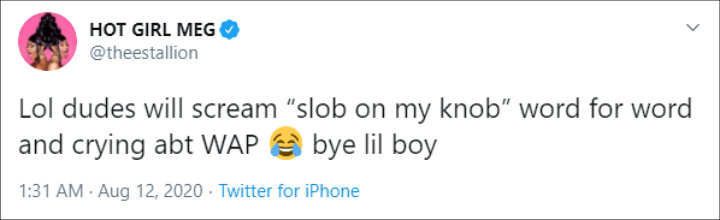 Megan Thee Stallion called out the double standards against WAP