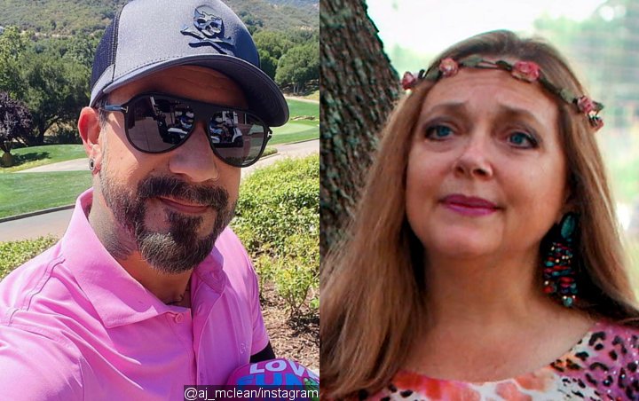 AJ McLean, Carole Baskin and More Are In Talks to Join Season 29 of 'DWTS'