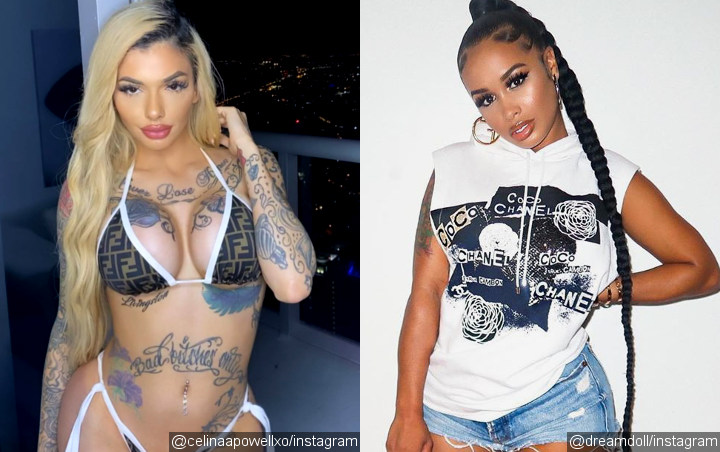 Celina Powell Trolls DreamDoll for Going Off on Her Over DJ Akademiks Sex Rumors