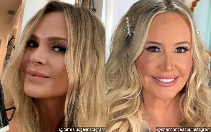 Tamra Judge Shades Shannon Beador for Her 'Loyal Friend' Comments