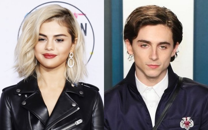 Selena Gomez Livestreams With Timothee Chalamet as He Casts His Vote in Election