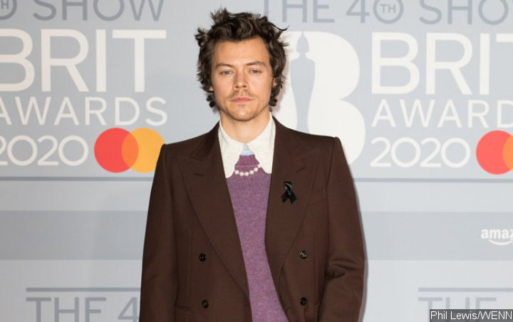 Harry Styles Drives People Wild by Staying at Fan's House After His Car Breaks Down