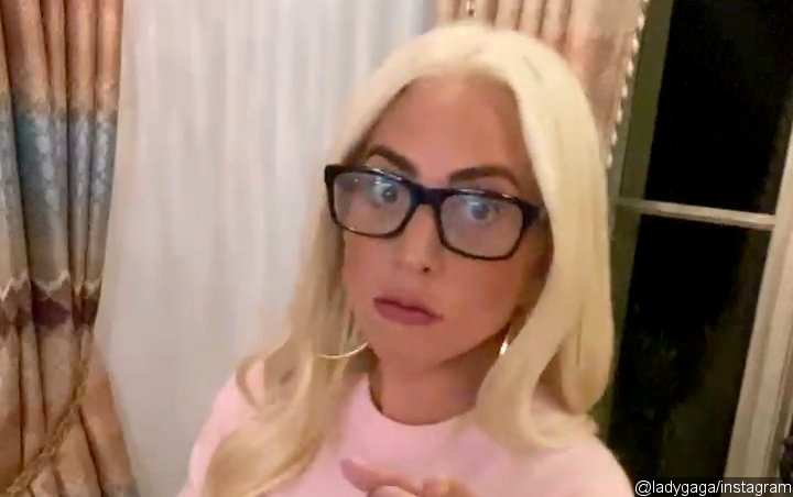 Lady GaGa Encourages Voting by Bringing Back Meat Dress and Other Iconic Looks