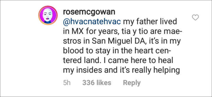 Rose McGowan's IG Comment