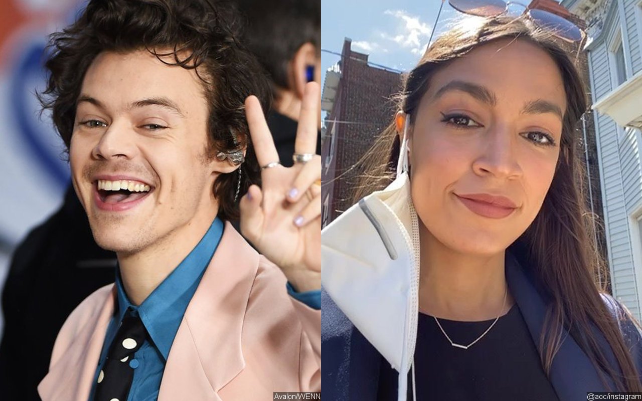 Harry Styles Gets Alexandria Ocasio-Cortez's Support for Wearing a Dress Amid Backlash